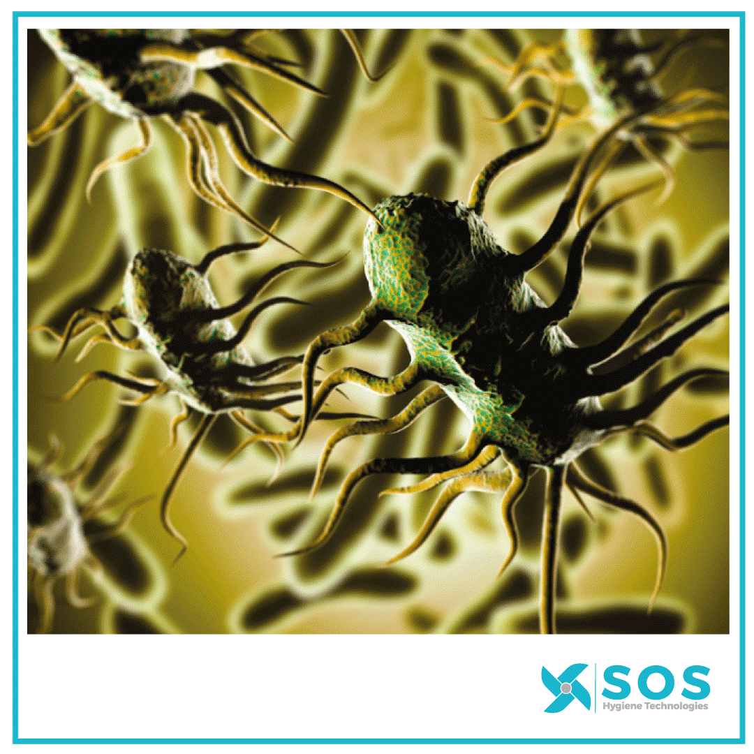 Listeria in the food industry