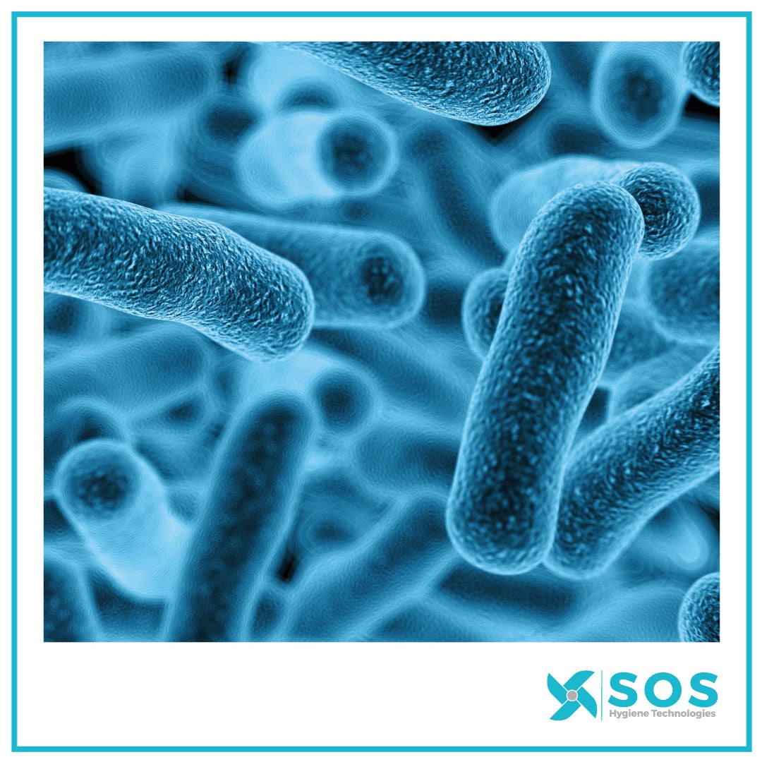 New EU Regulations on Listeria monocytogenes in Ready-to-Eat Foods: What Food Businesses Need to Know.