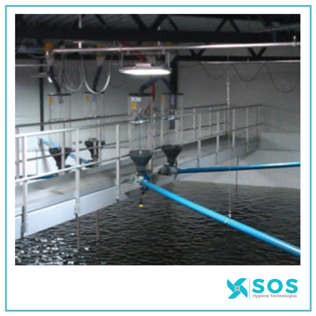 Primozone Ozone Treatment Boosted Fish Production