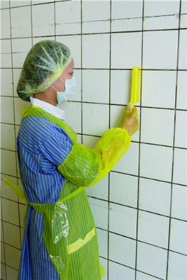 Vikan - 4195 - Narrow Hand Brush with Short Handle, 300mm, Very Hard